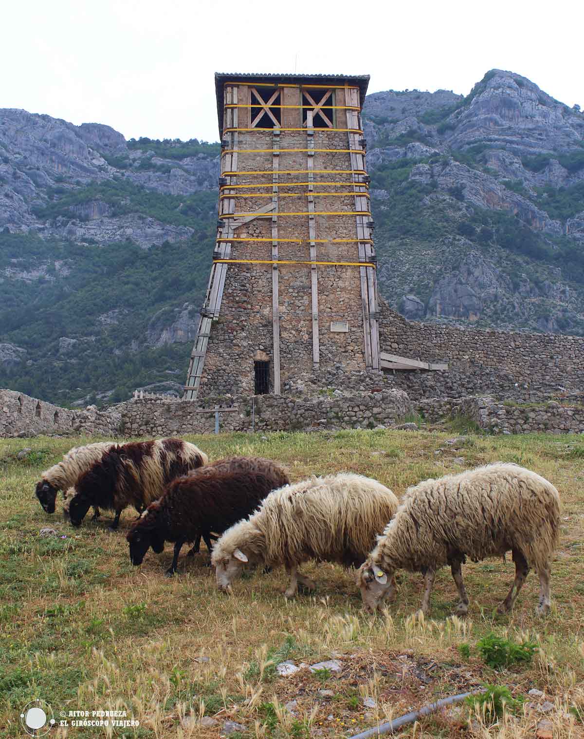 Torre en el castillo de Kruje